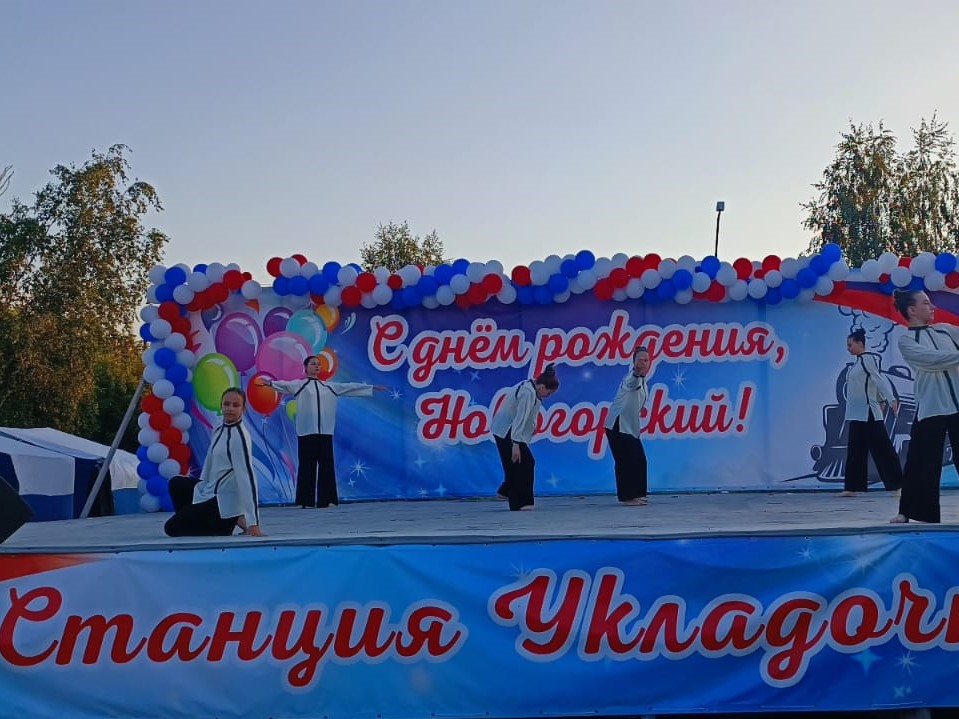 Отчёт Комитета по управлению Новогорским микрорайоном об итогах работы за 2024 год.