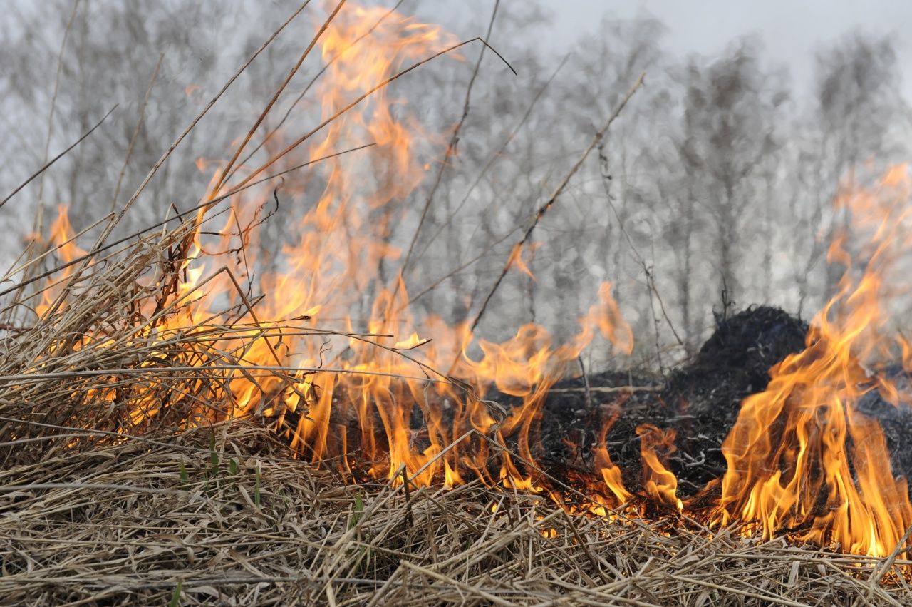 Постановлением Правительства Алтайского края от 03.04.2024  № 87 на территории Алтайского края  с 12.04.2024 установлено начало пожароопасного сезона.
