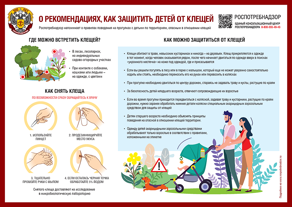 О проведении «Горячей линии» по теме «Профилактика клещевого энцефалита».