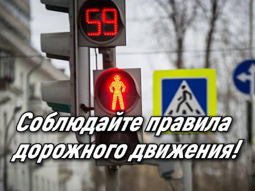 Госавтоинспекцией  по г.Новоалтайску проводятся профилактические мероприятия с 23 апреля по 15 июня 2025 года.